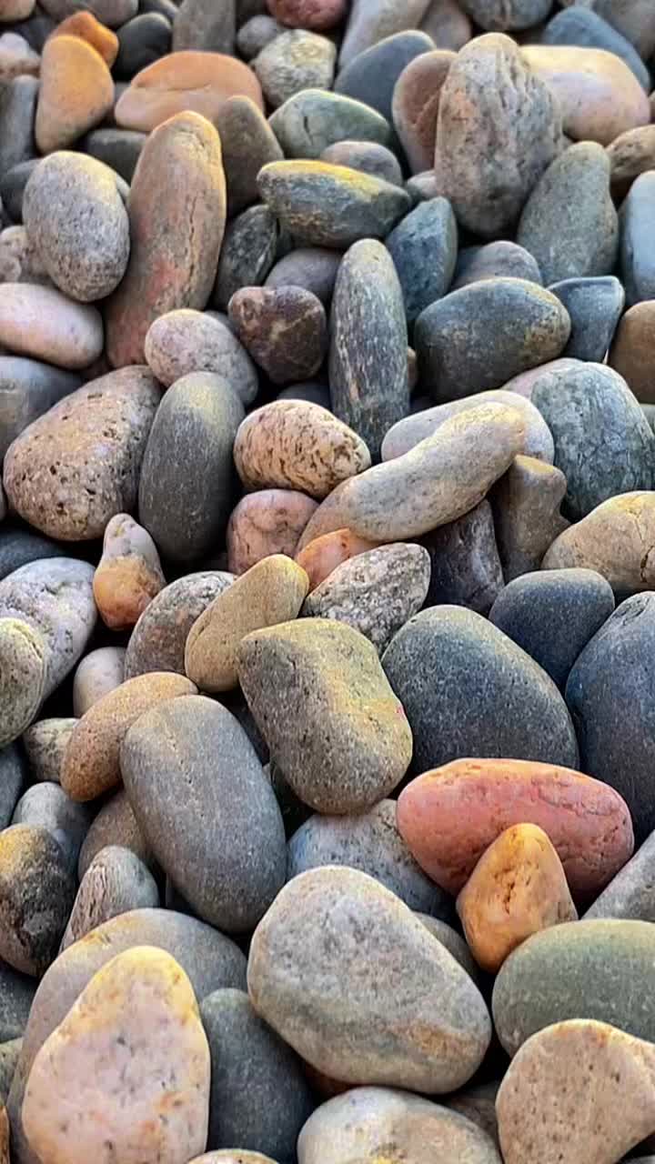 @vstddd