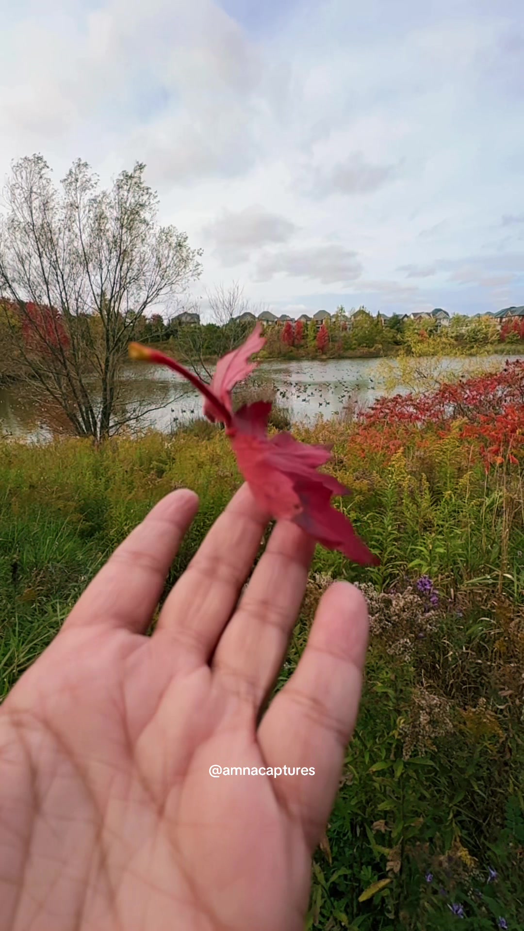 @Nature lover 🇨🇦