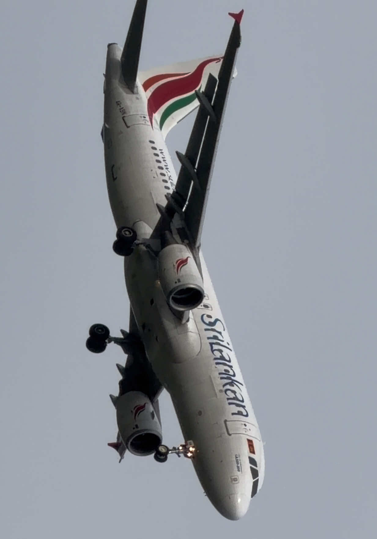 @AvGeek [MJ]