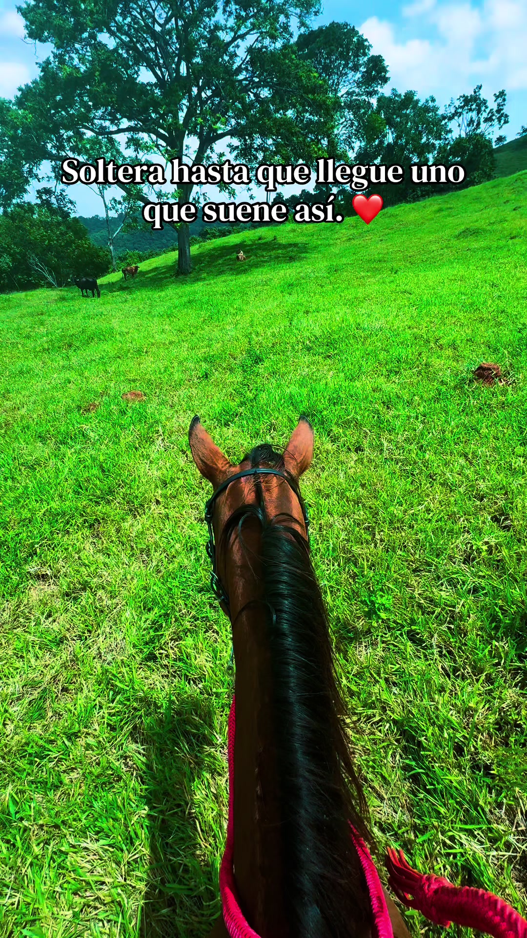 @𑣲𝑨𝓷𝐲𝓮𝒍𝒂.ོ☼