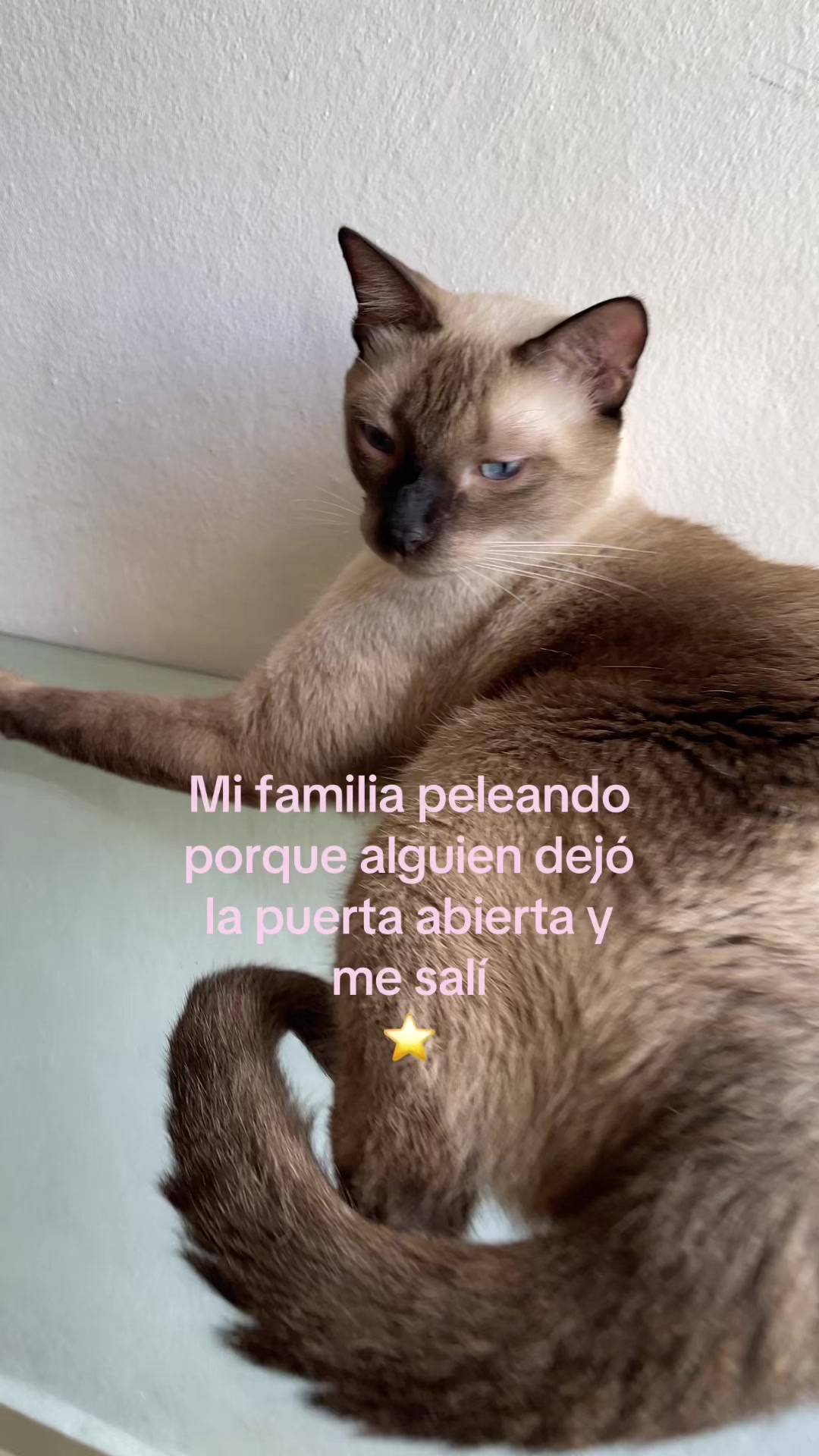 @Hermanitos siameses