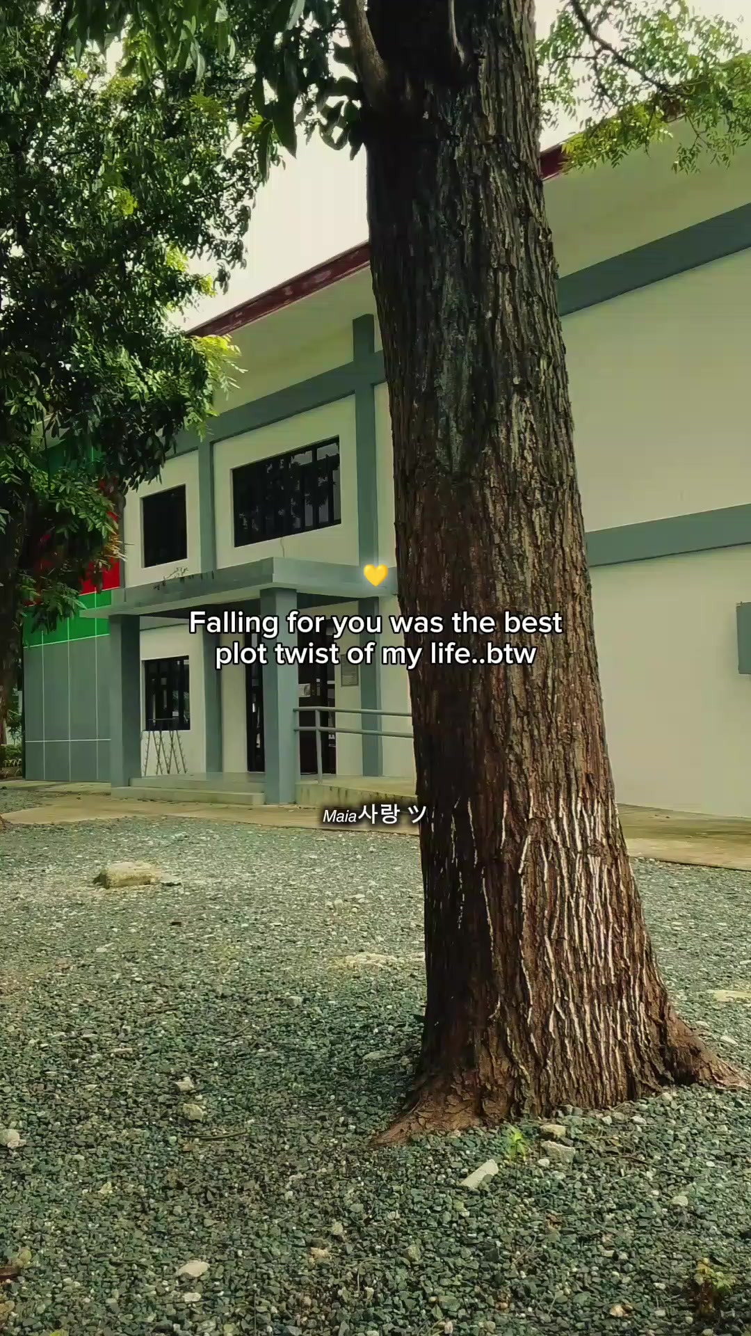 @𝘔𝘢𝘪𝘢사랑 ツ
