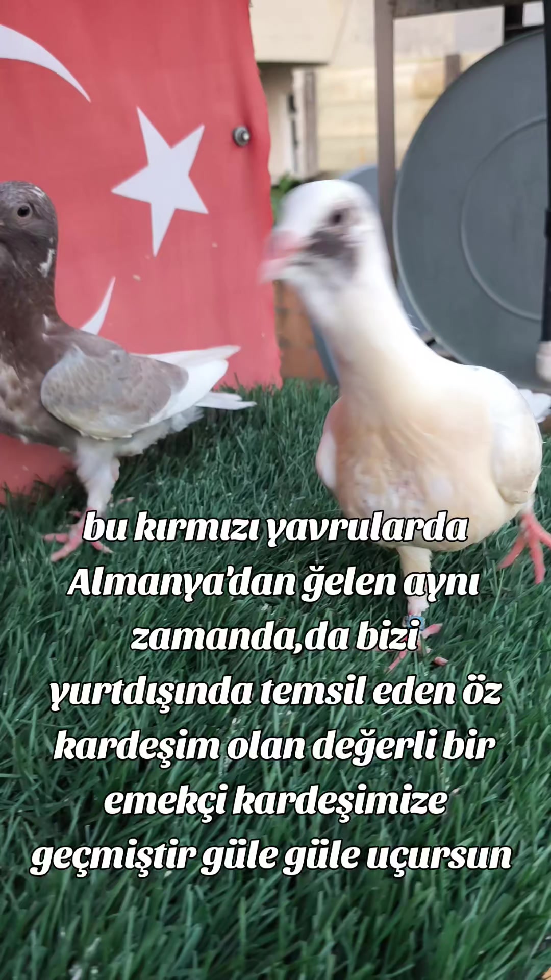 @0163Adanabatarkusu_federasyonu