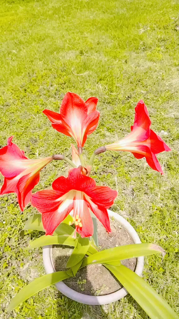 @Nilambharti22