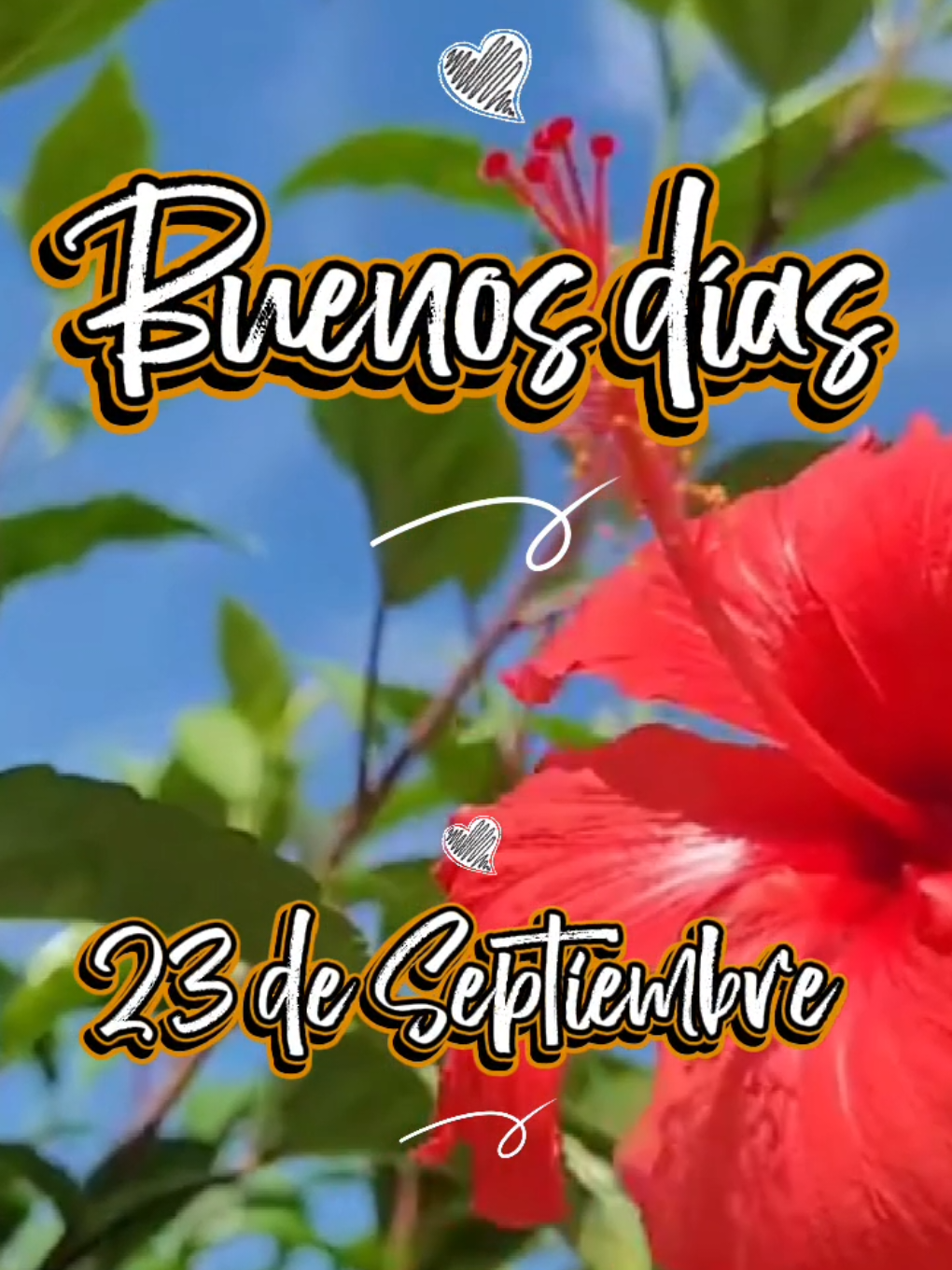 @Arely Mendoza Frases bonitas