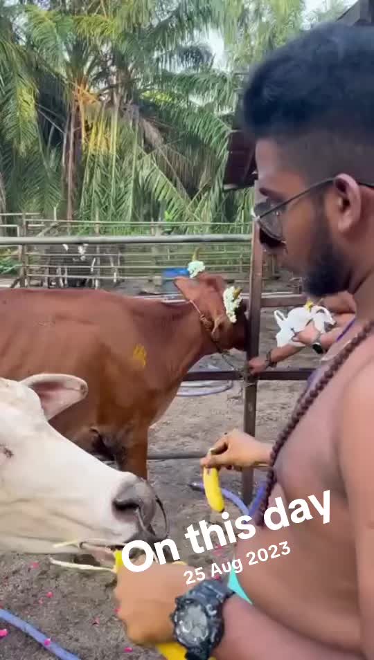 @SON OF NOOKALAMMAN 🪷