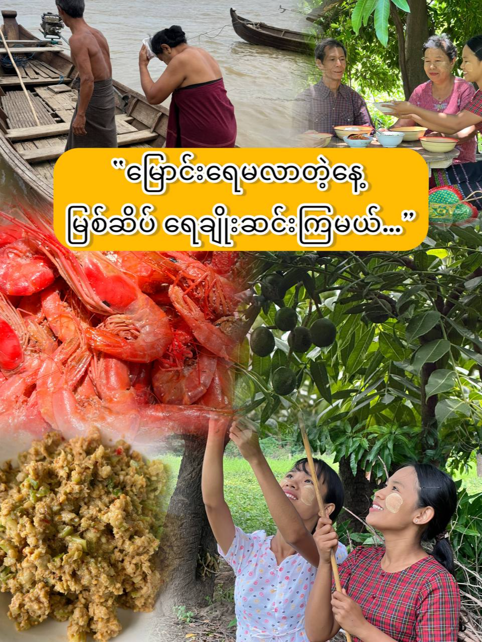 @Yar Taw Thu - ယာတောသူ