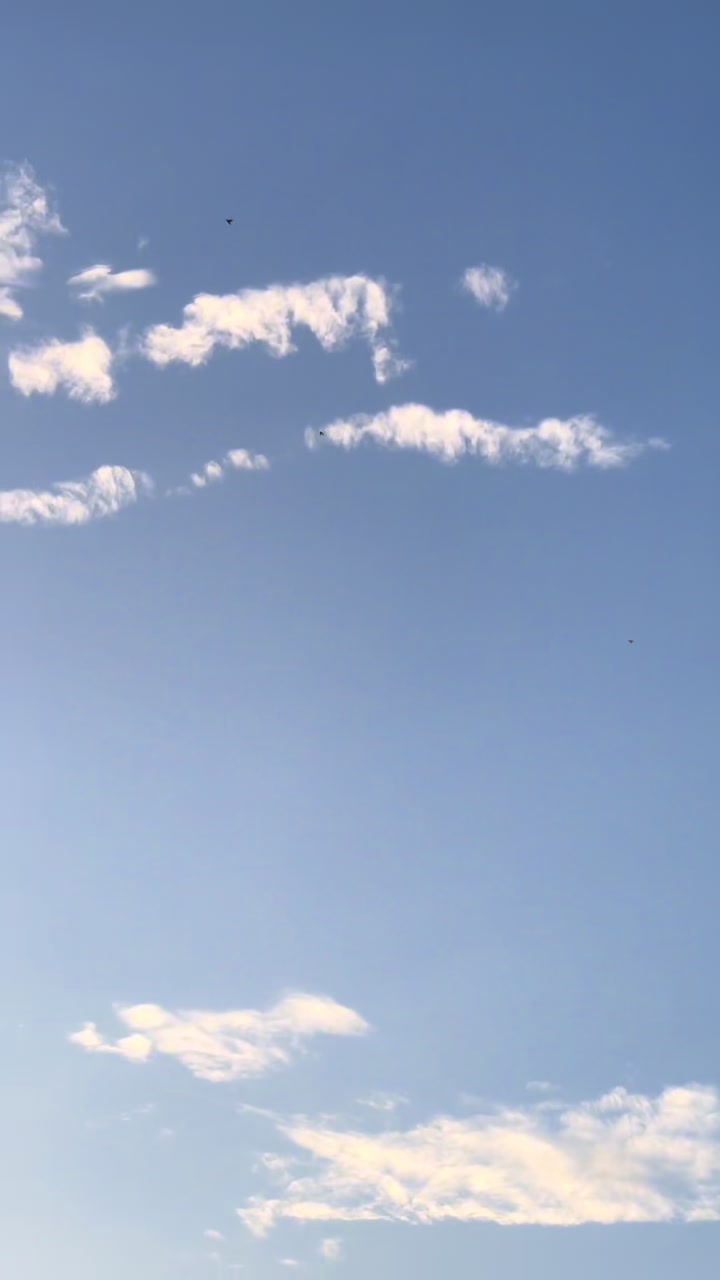 @𝗧𝗲𝘇𝗲 𝗠𝗲𝗵𝗹𝗲 🕊️