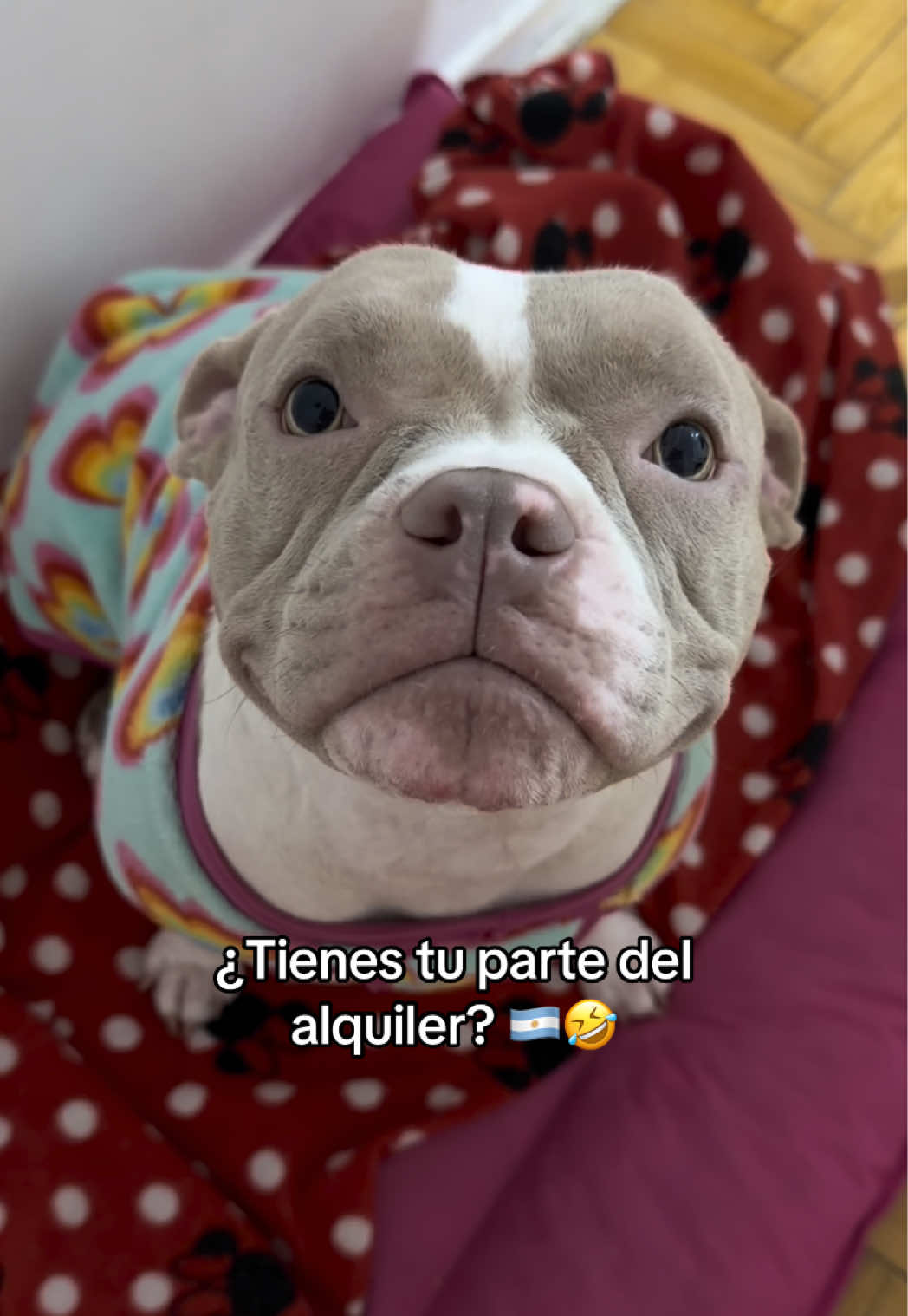 @VivianaNuñez