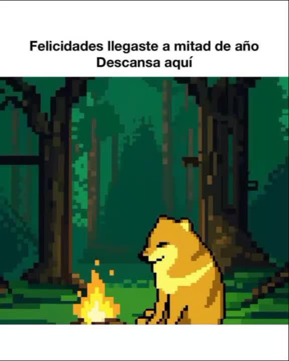 @COSIGEL MARKOFT