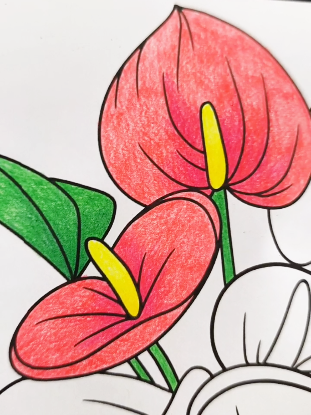 @Syaf.ColorArt