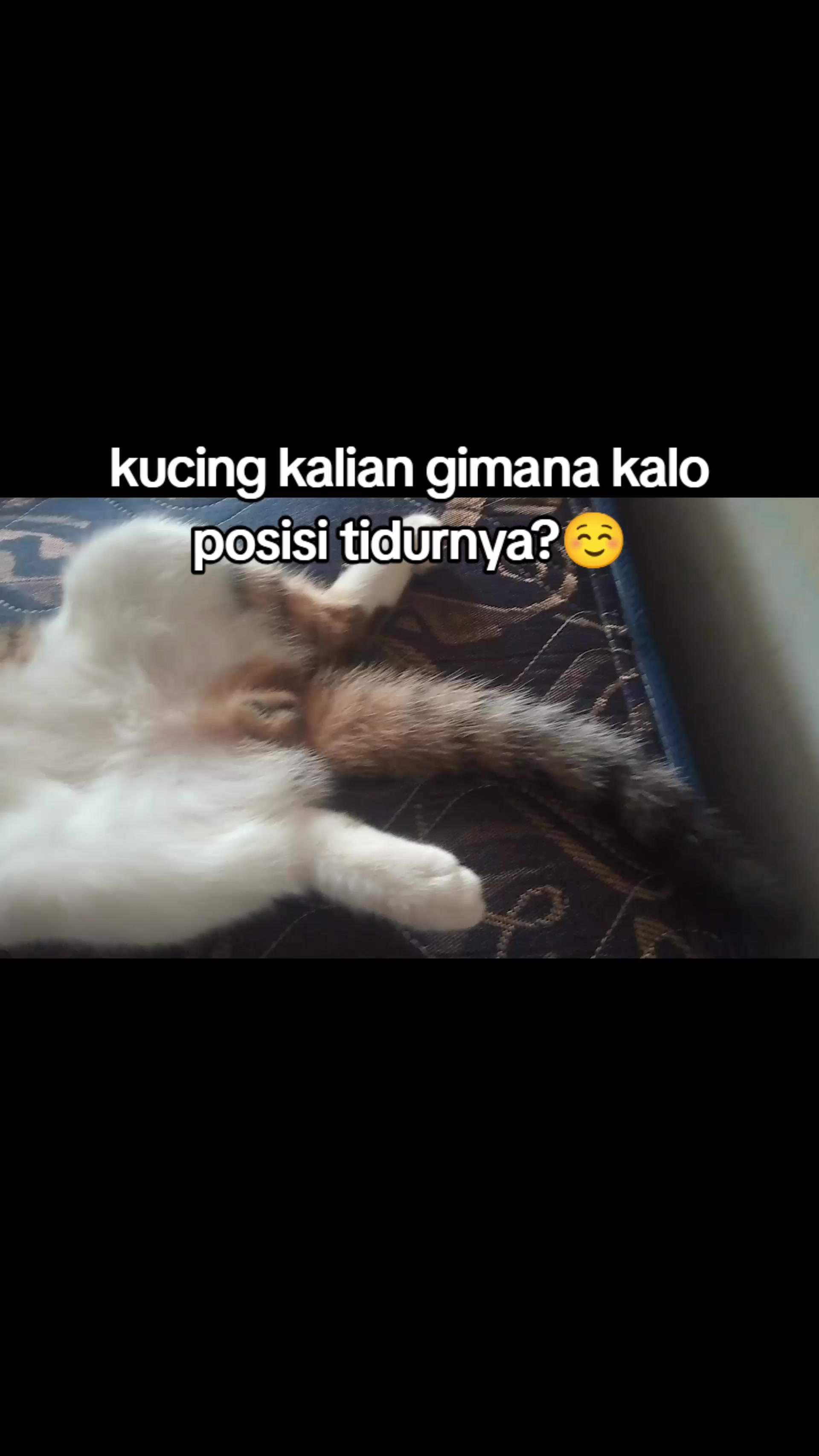 @Lina herlina