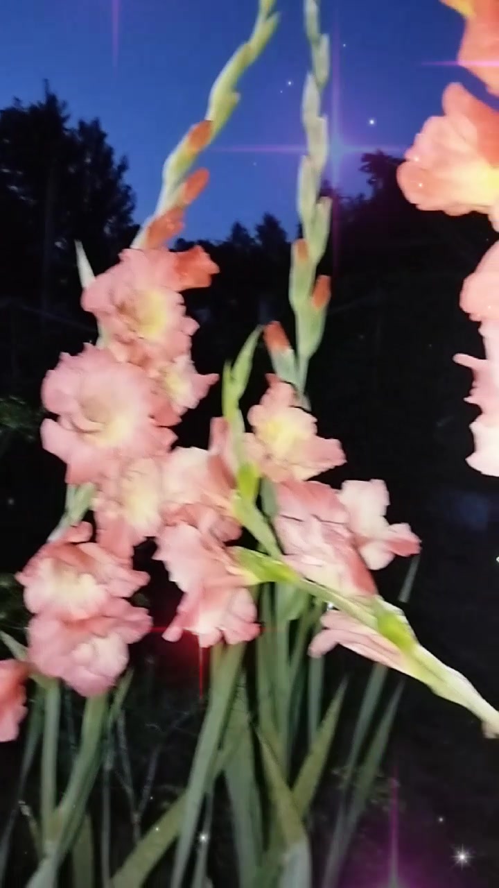 @ирунчик