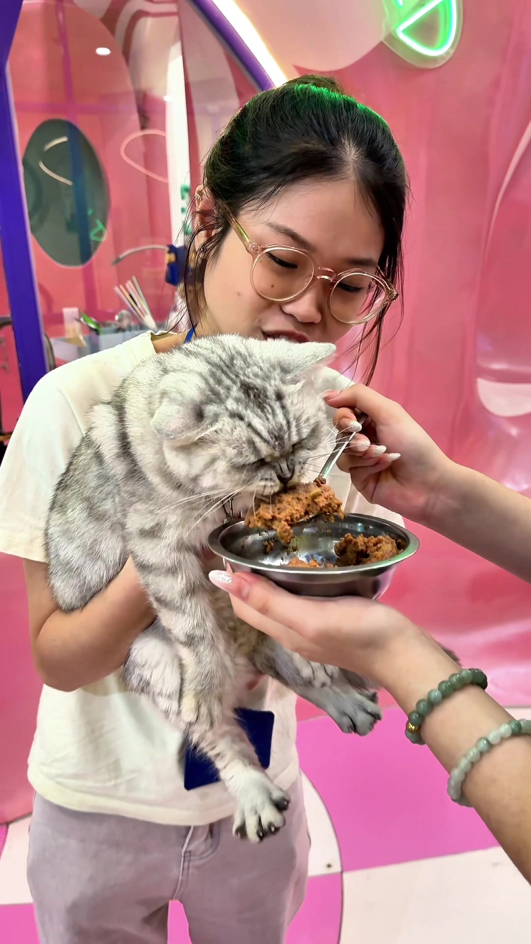 @Catfe 🐱