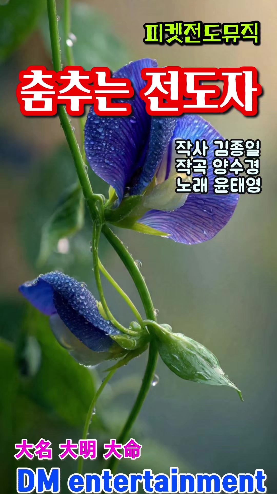 @피켓전도 김종일 목사