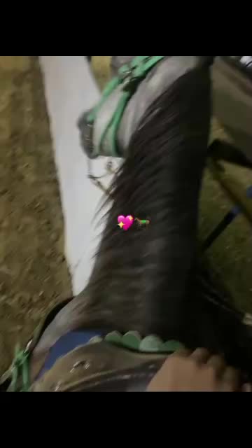 @Juan Anzola 🤠