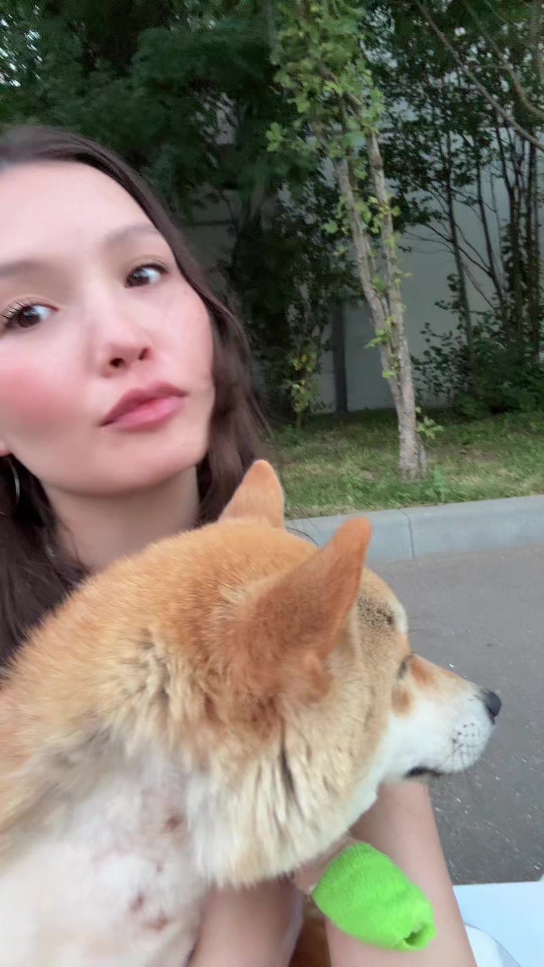@агни мяу