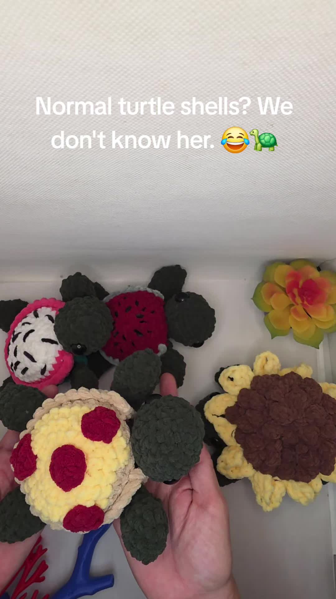 @Amber Mitchell