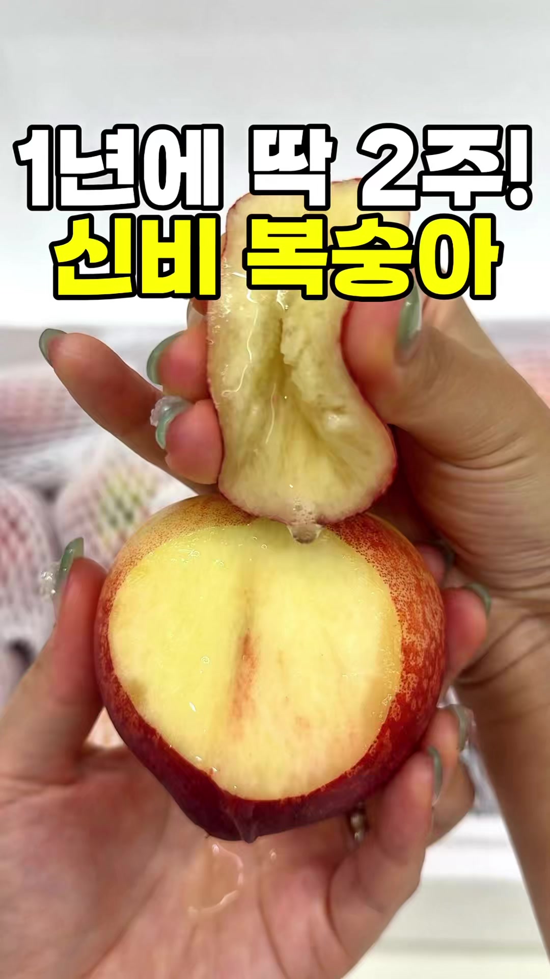 @싱싱햇 - 365일 싱싱한 햇 제철 먹거리