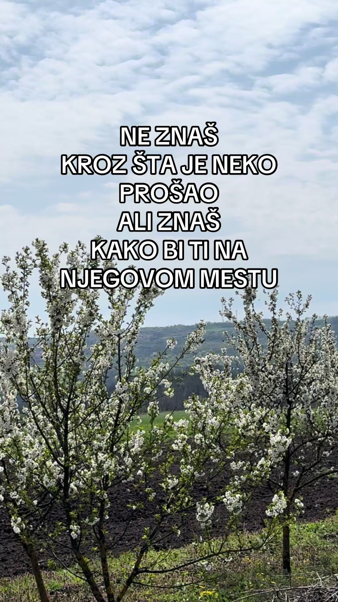 @Jovana Milutinović