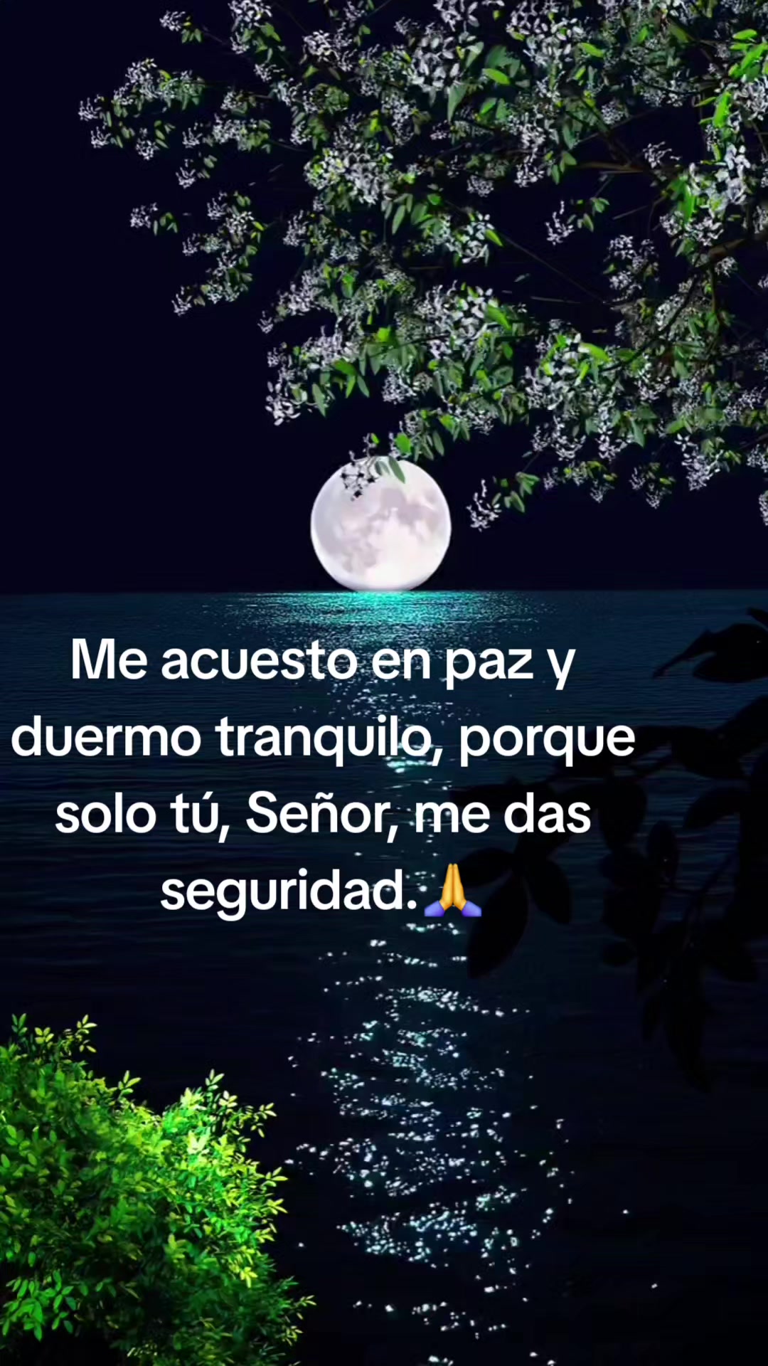 @sapienciaconjuantamares