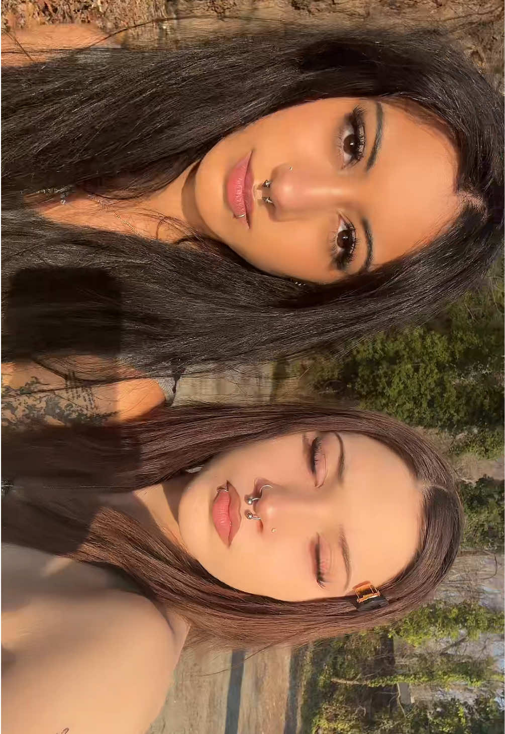 @Araya