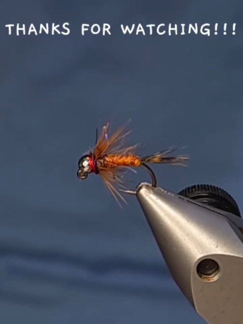@veevusFishing