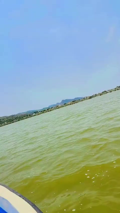 @hameedarmani
