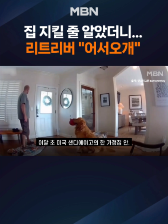 @MBN NEWS