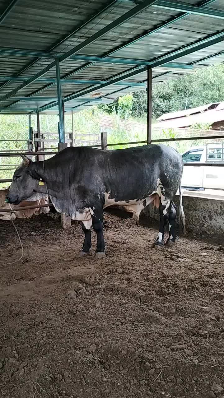 @user5501866124279
