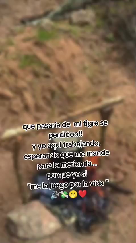 @MILENA JOJOA ❤️