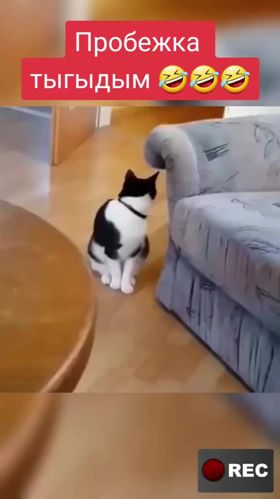 @Лариса