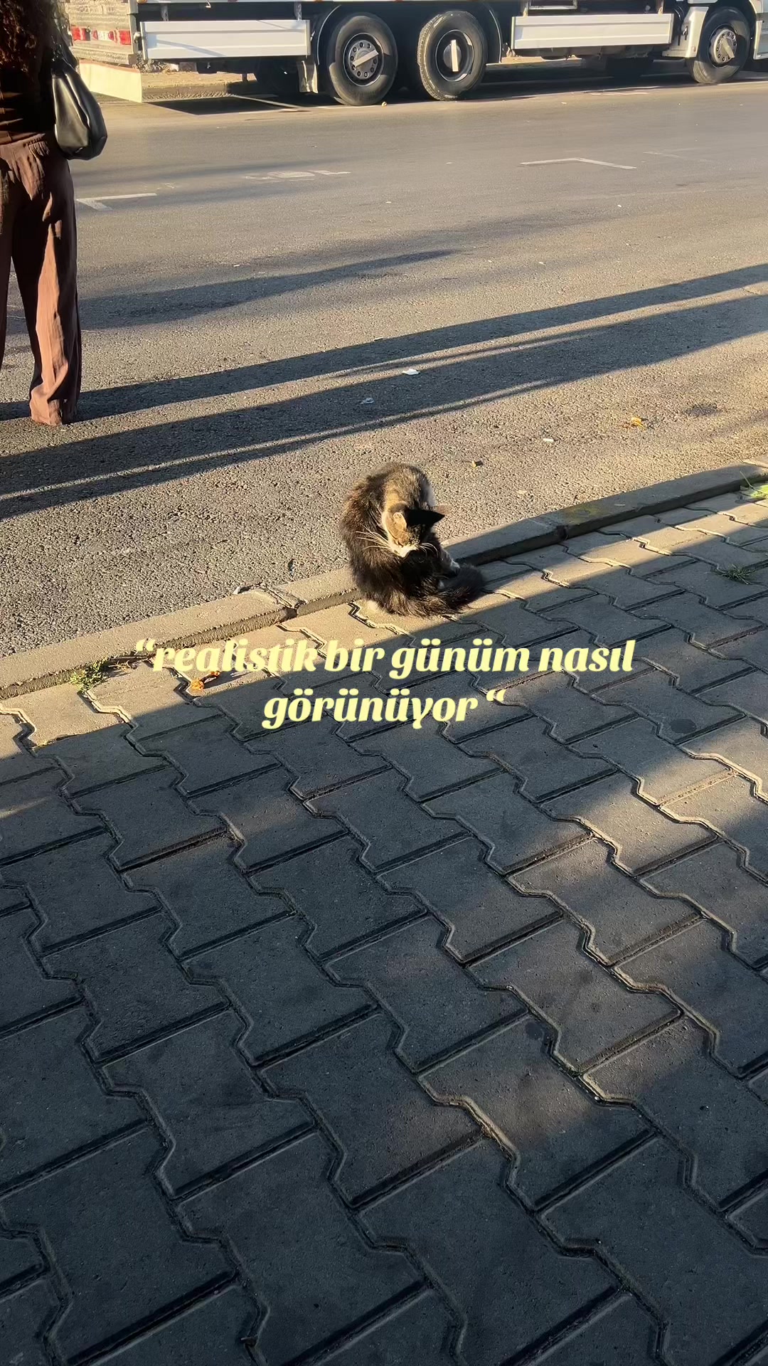 @sude