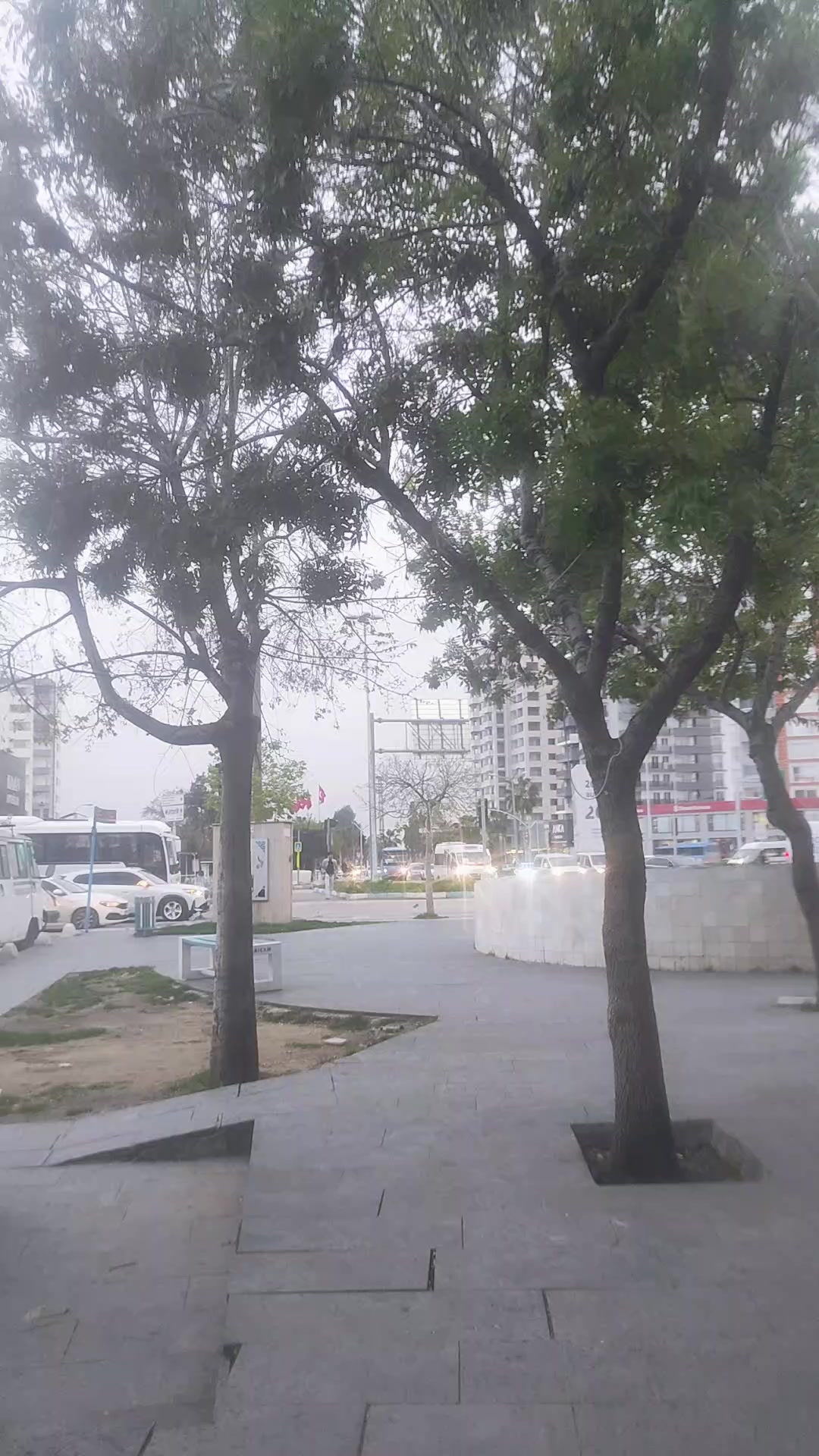 @🌙Ay Işığı🌙