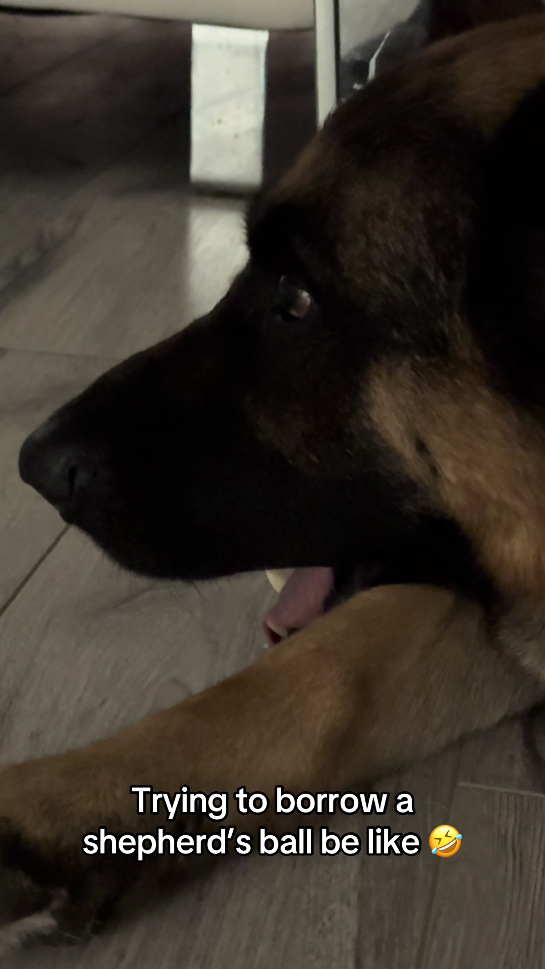 @Martygsd