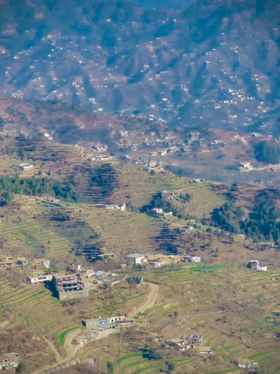 @🌲غر سنے 🌲