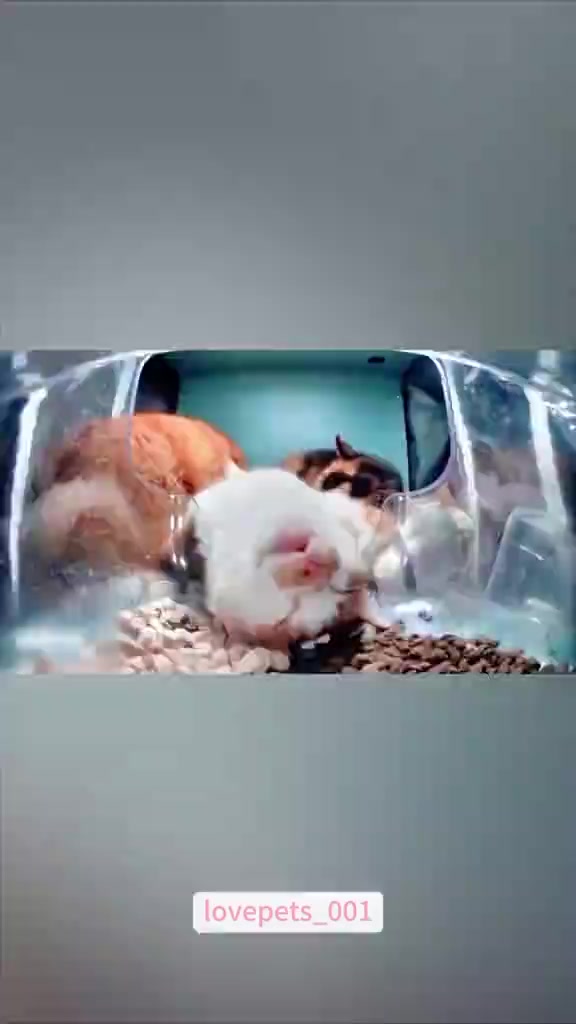@ромашечка🇷🇺😏