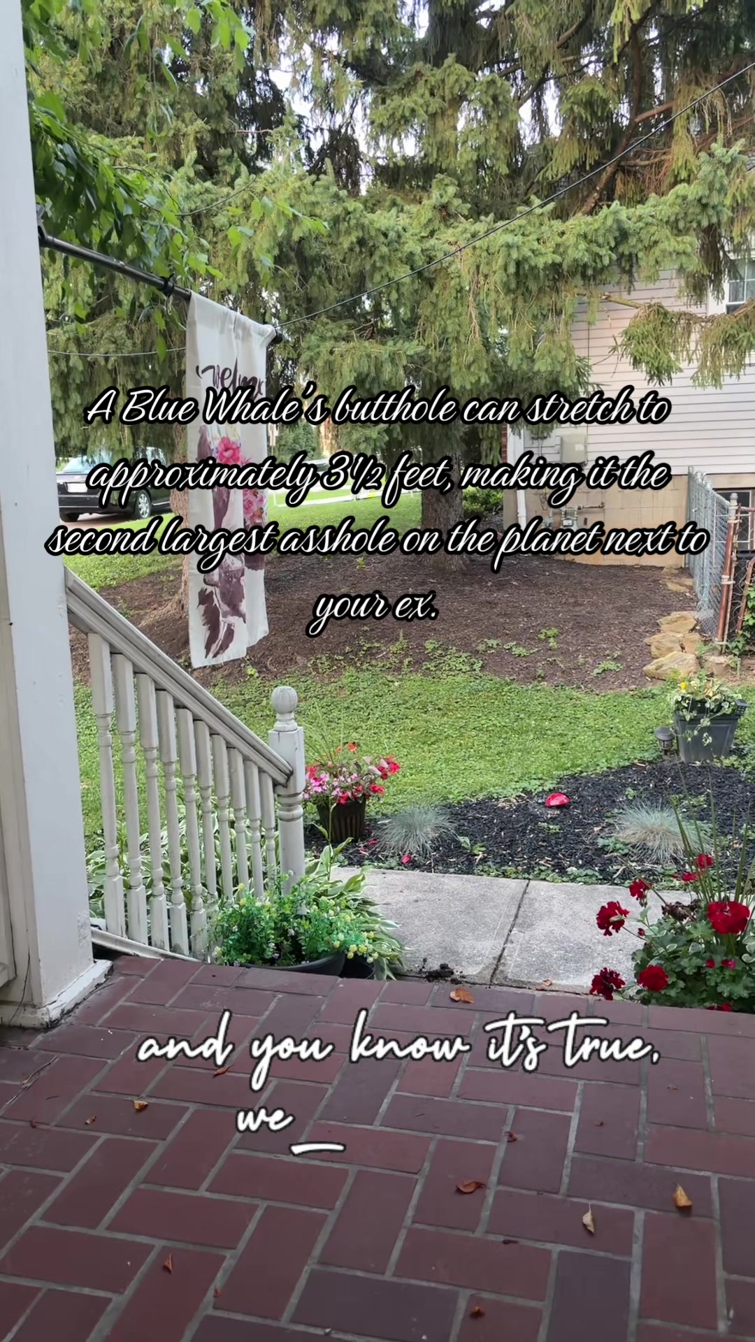 @Boohavingfun