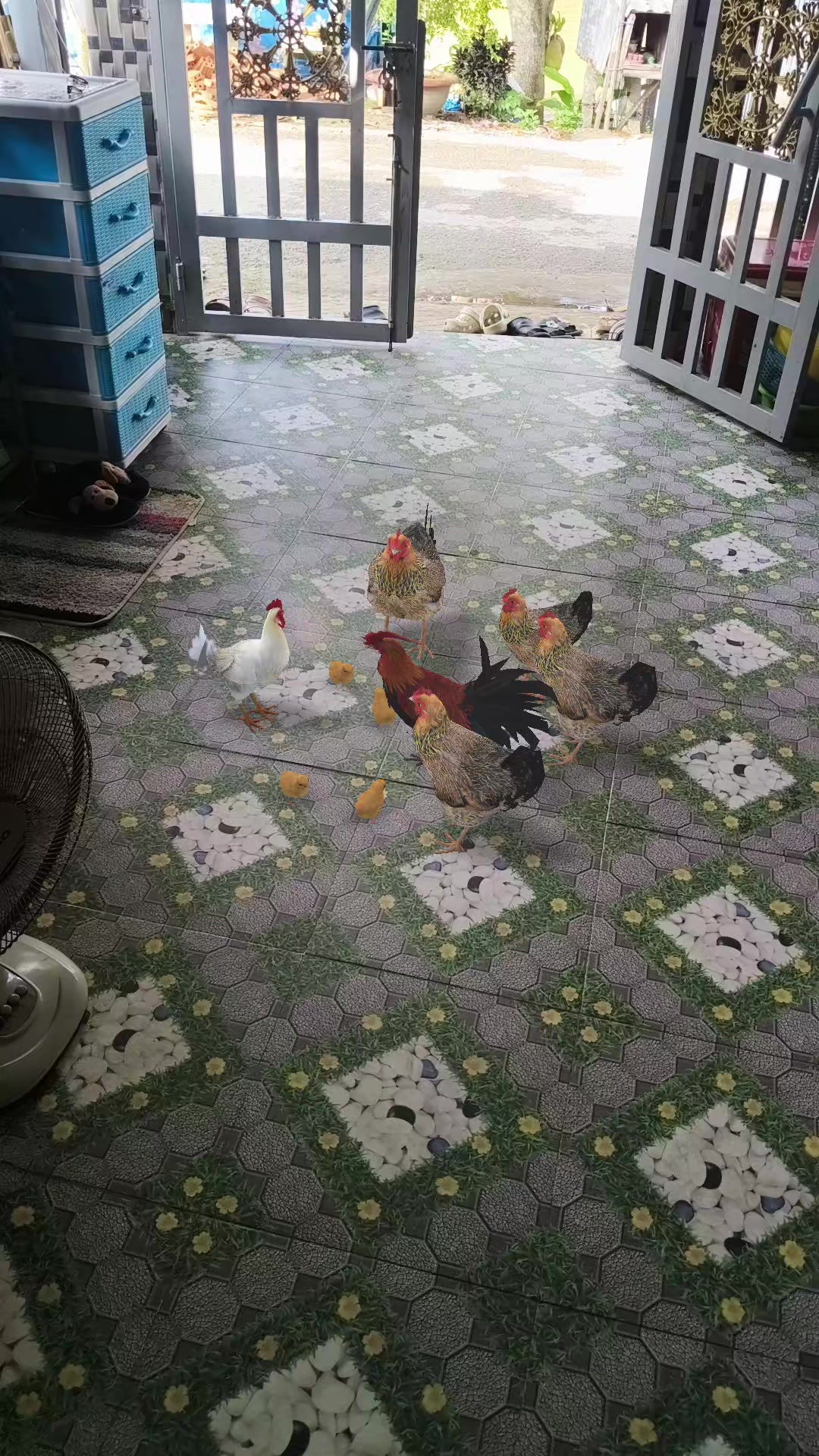@Nguyễn Tiên 123