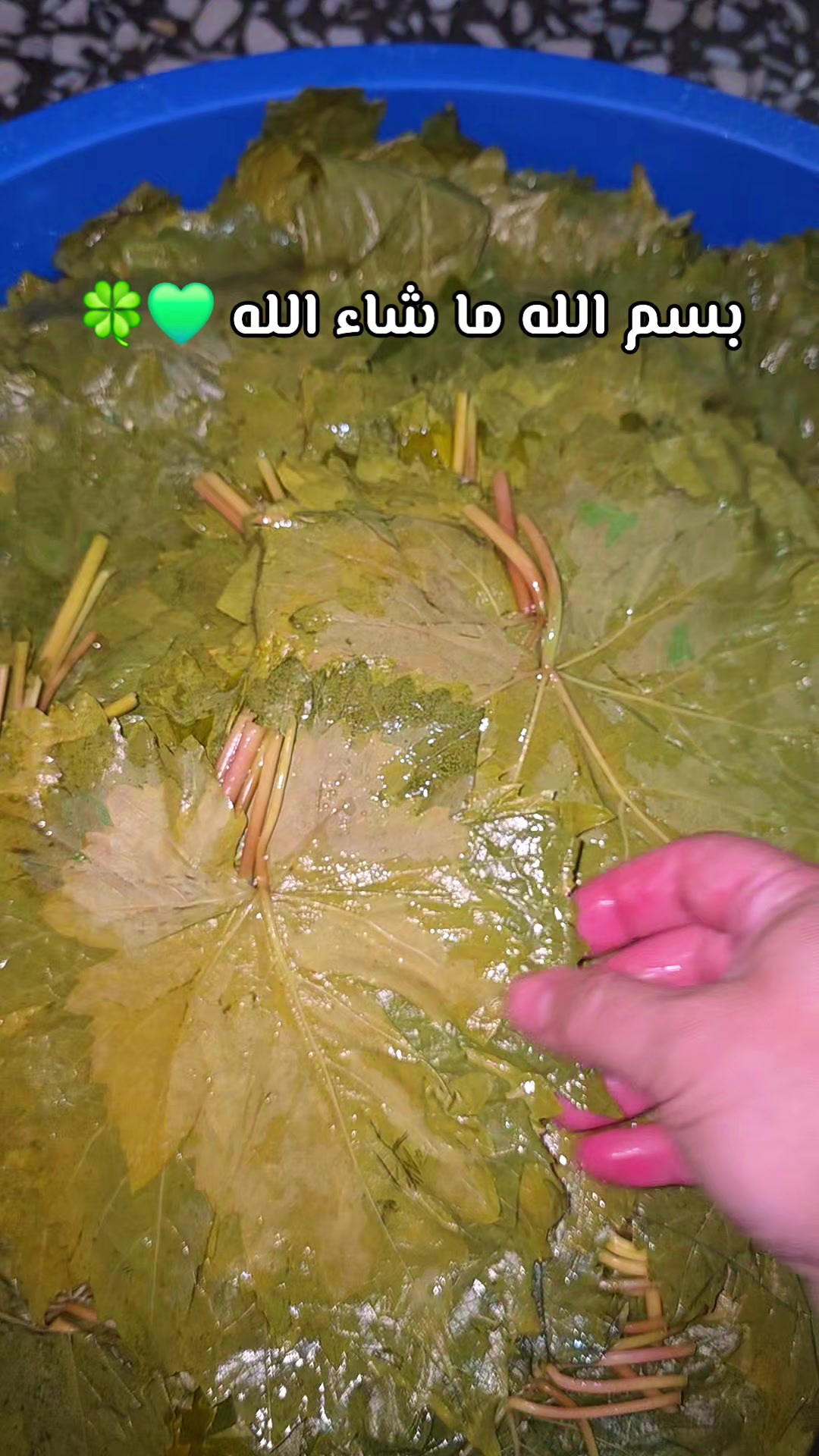 @🎀ام حمودي🎀