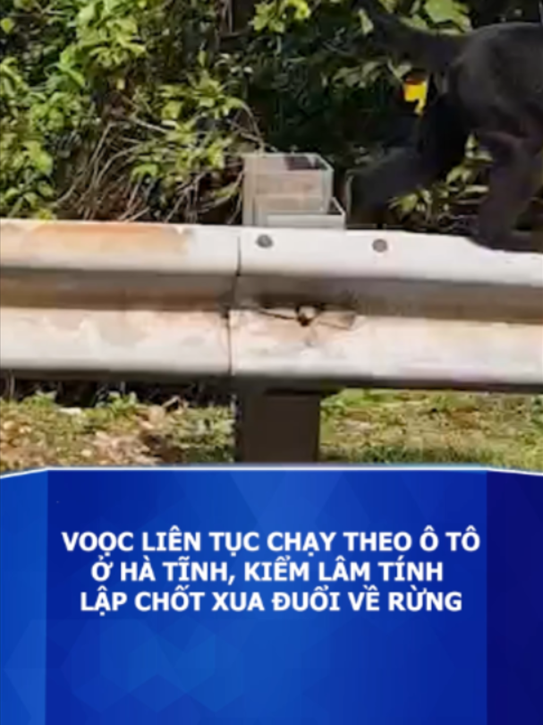 @Báo Tuổi Trẻ