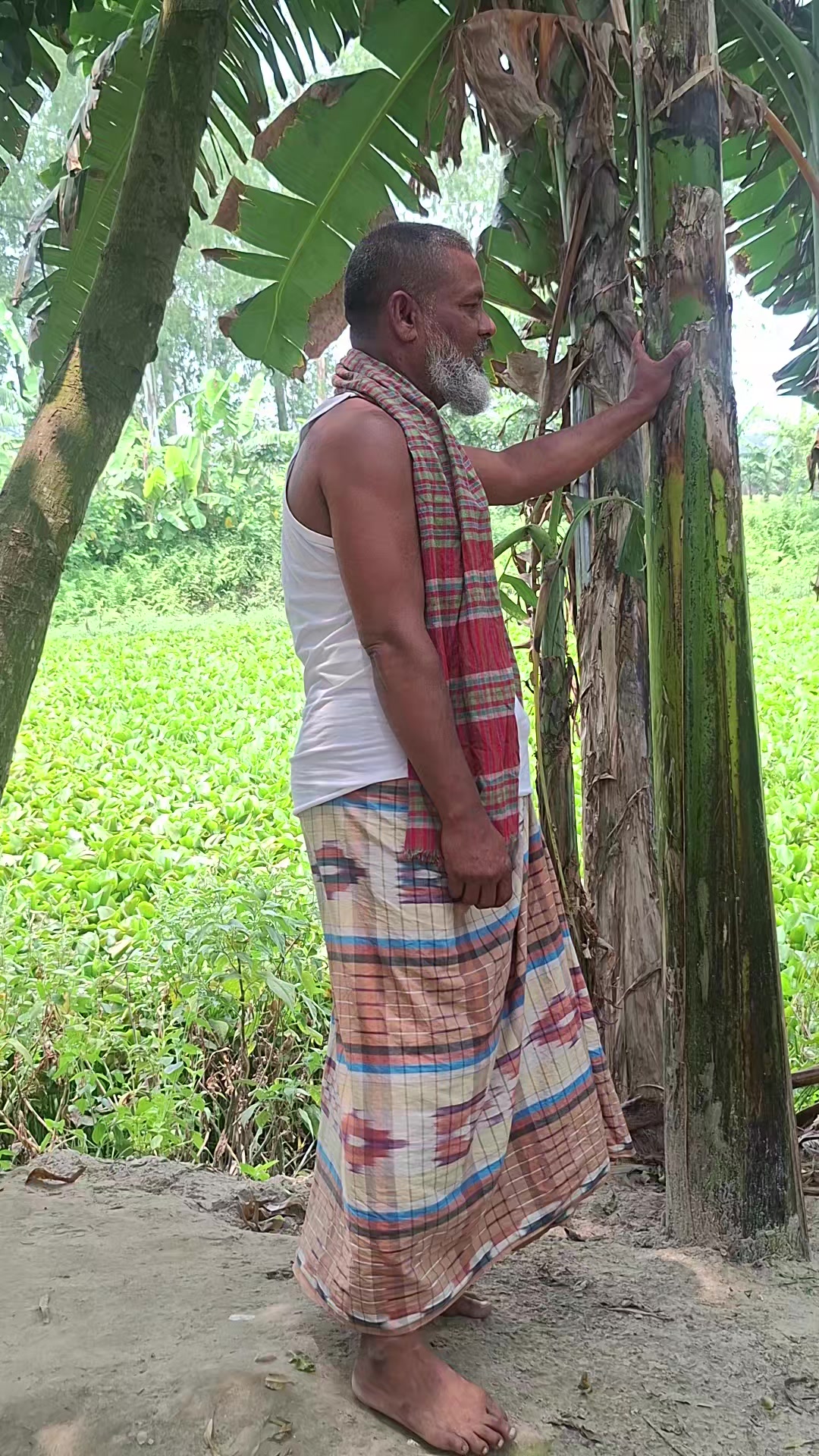 @Rajjak999