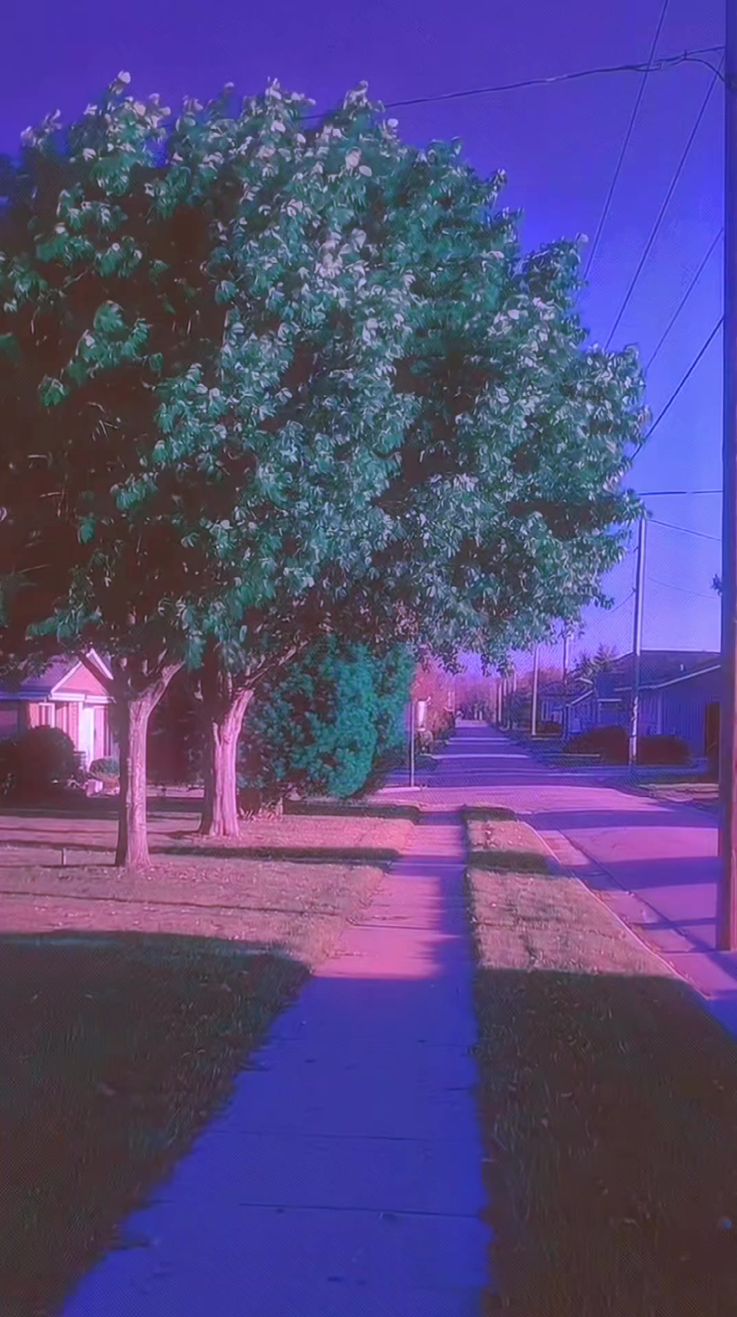 @suburbs94