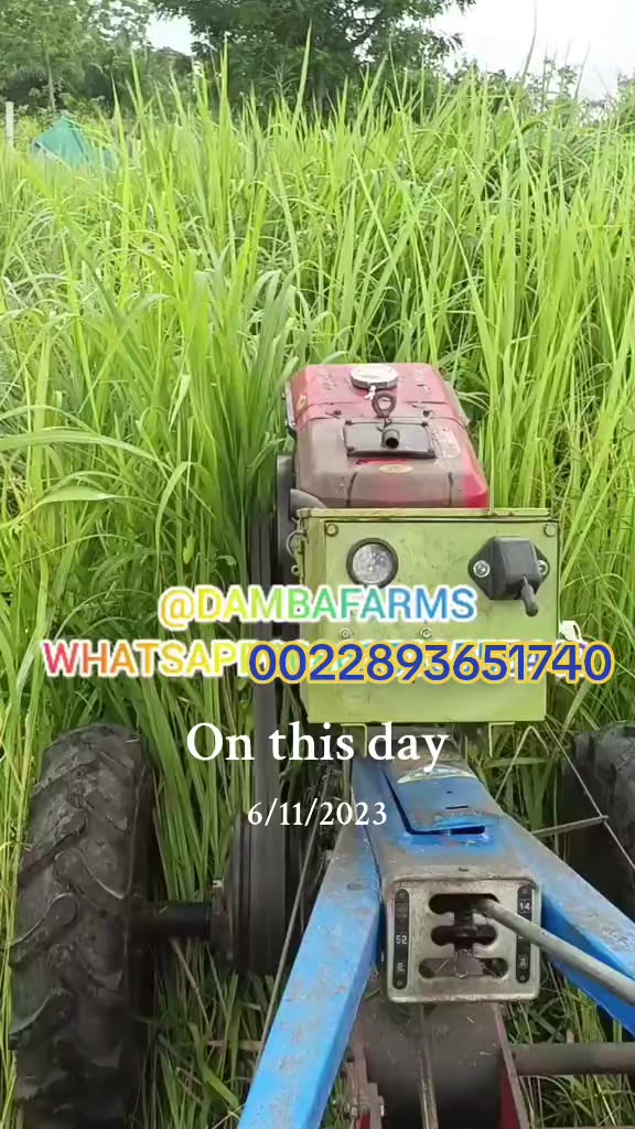 @dambafarms