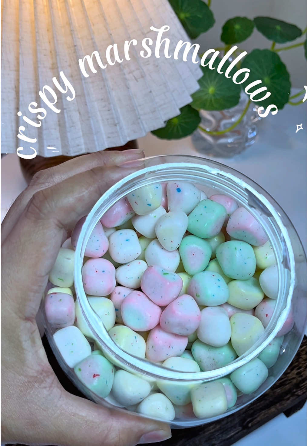 @rutie ᥫ᭡