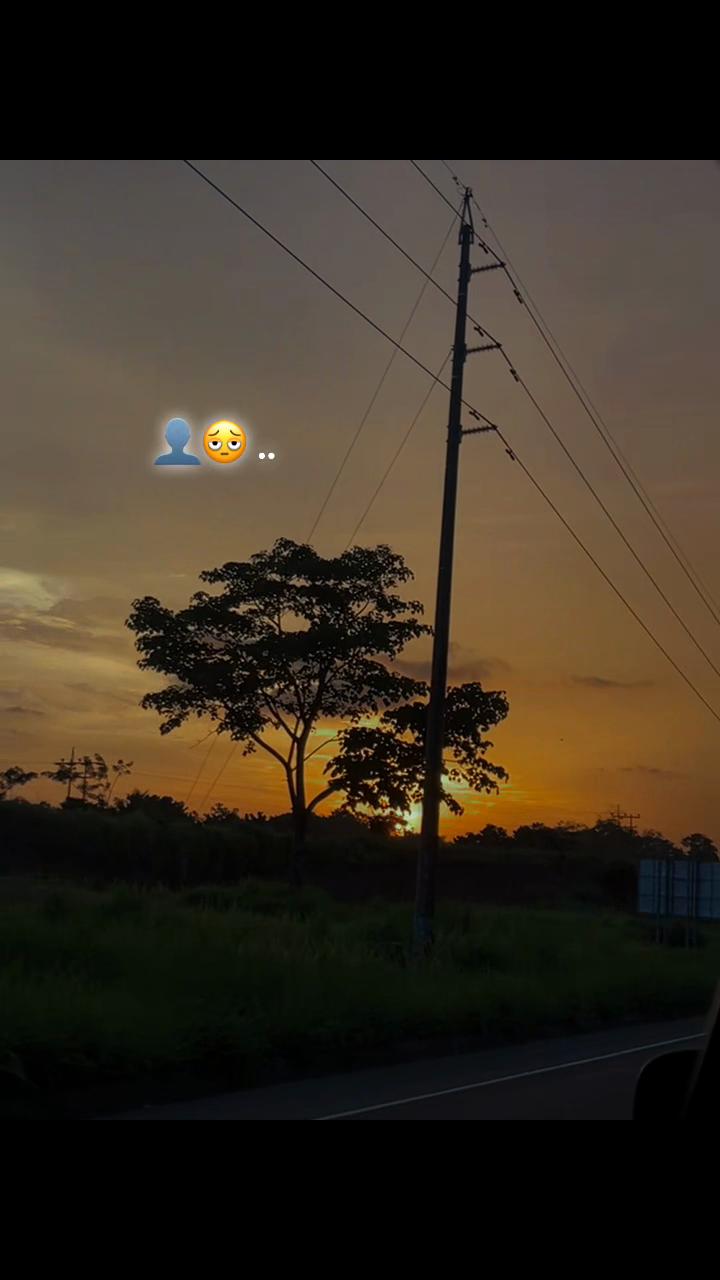 @👤
