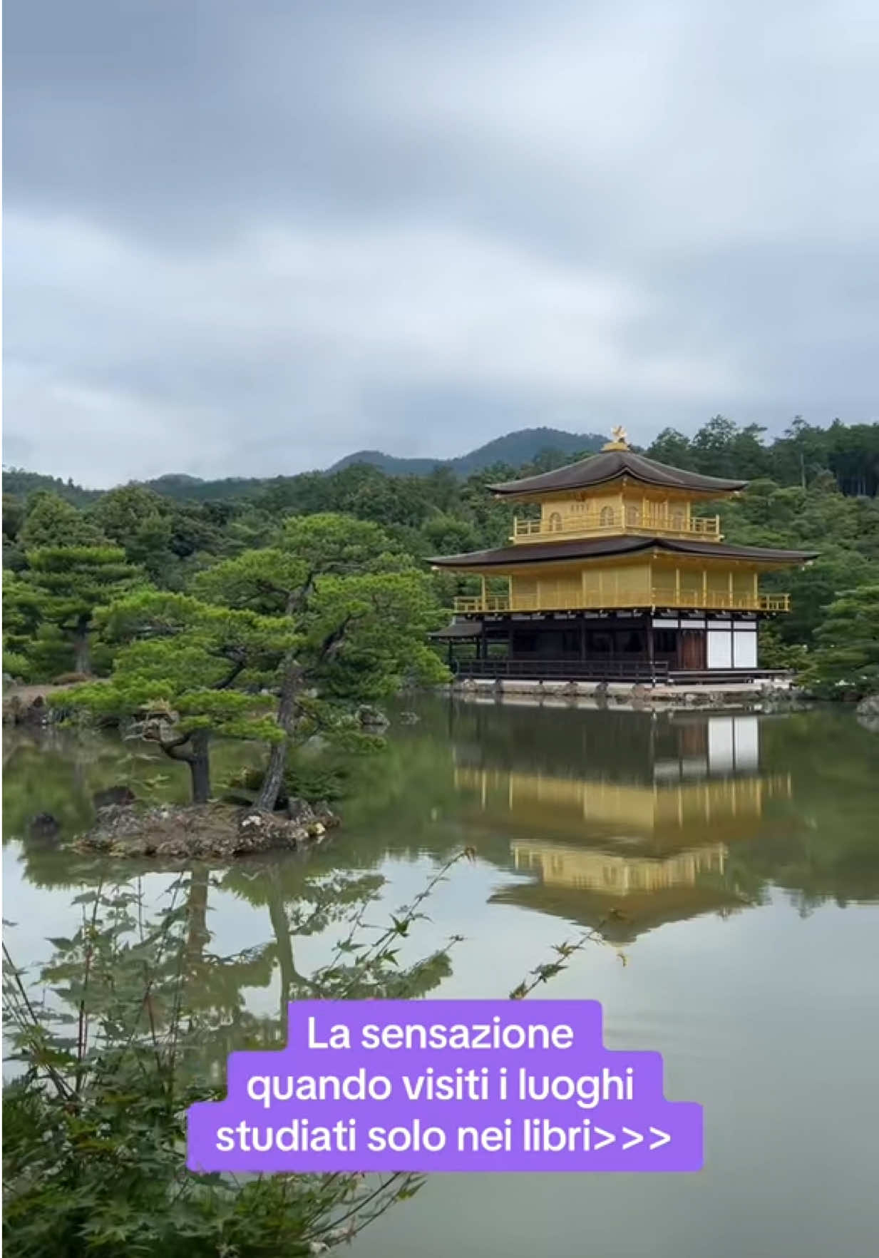 @🌸Ari | NipponTok🇯🇵🇮🇹