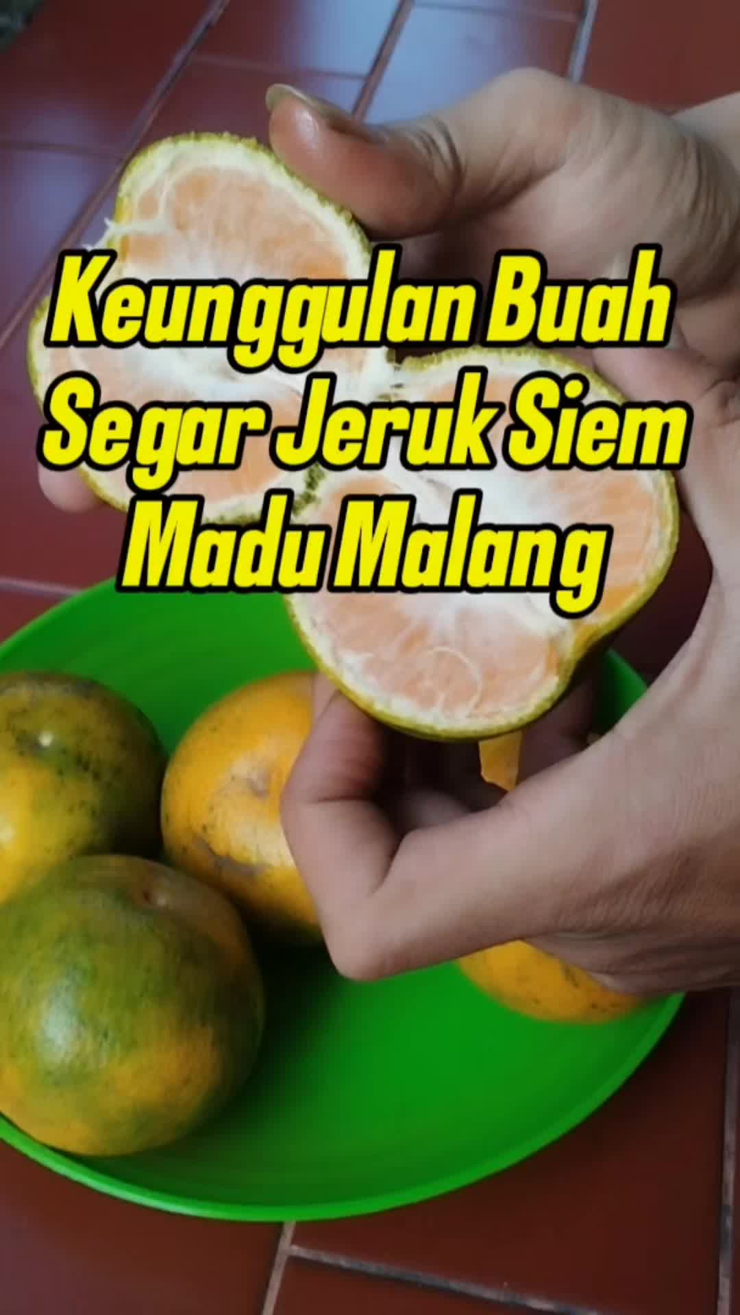@Bukit Farming