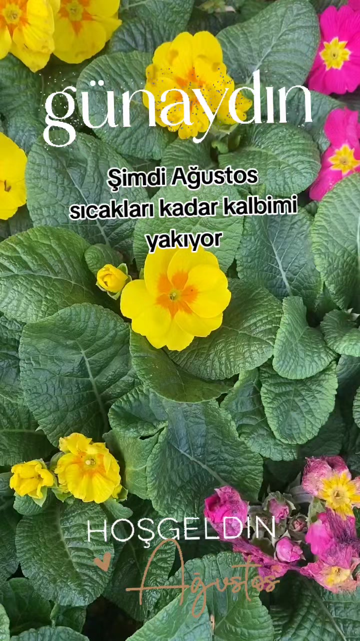 @Pril