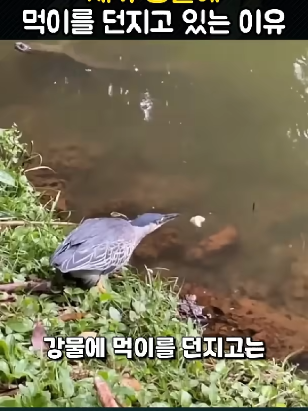 @개블리